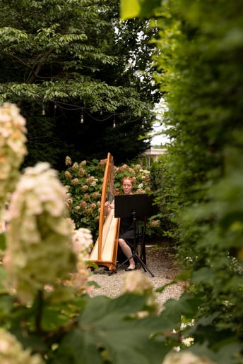 Gallery photo 2 of Lune River Harp Studio