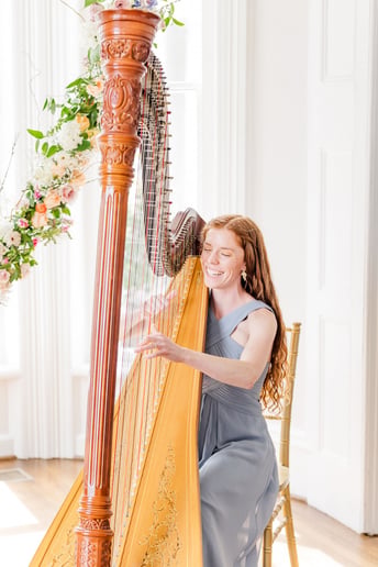 Gallery photo 1 of Lune River Harp Studio