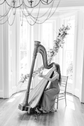 Gallery photo 8 of Lune River Harp Studio