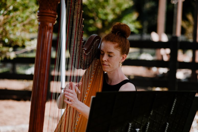 Gallery photo 9 of Lune River Harp Studio
