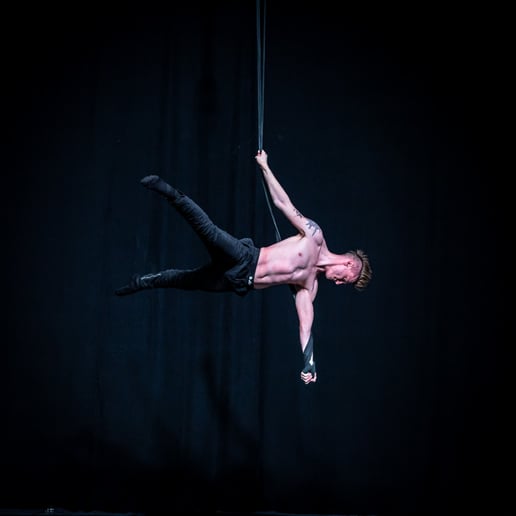 Gallery photo 8 of LUX Entertainment Straps Aerialists