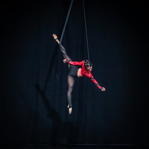 Gallery photo 9 of LUX Entertainment Straps Aerialists