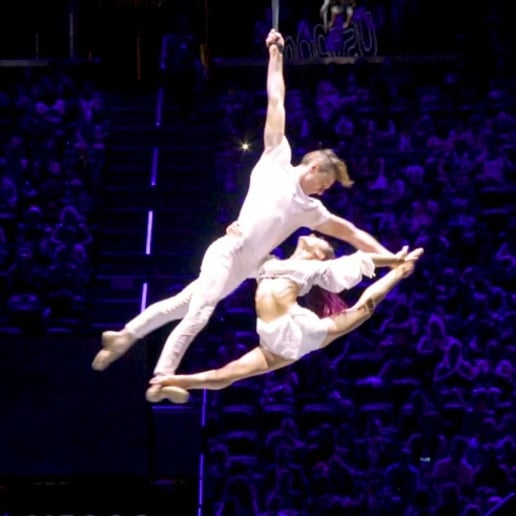 Gallery photo 2 of LUX Entertainment Straps Aerialists