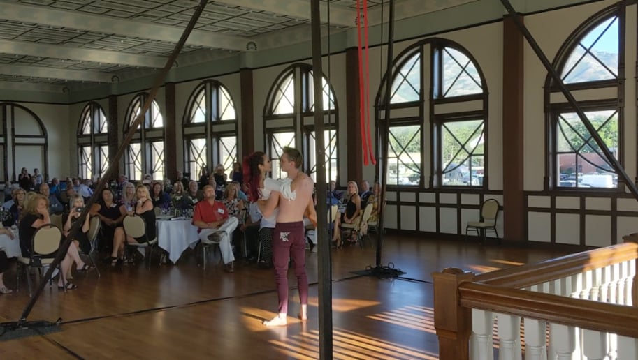 Gallery photo 6 of LUX Entertainment Straps Aerialists