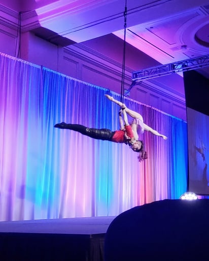 Gallery photo 7 of LUX Entertainment Straps Aerialists