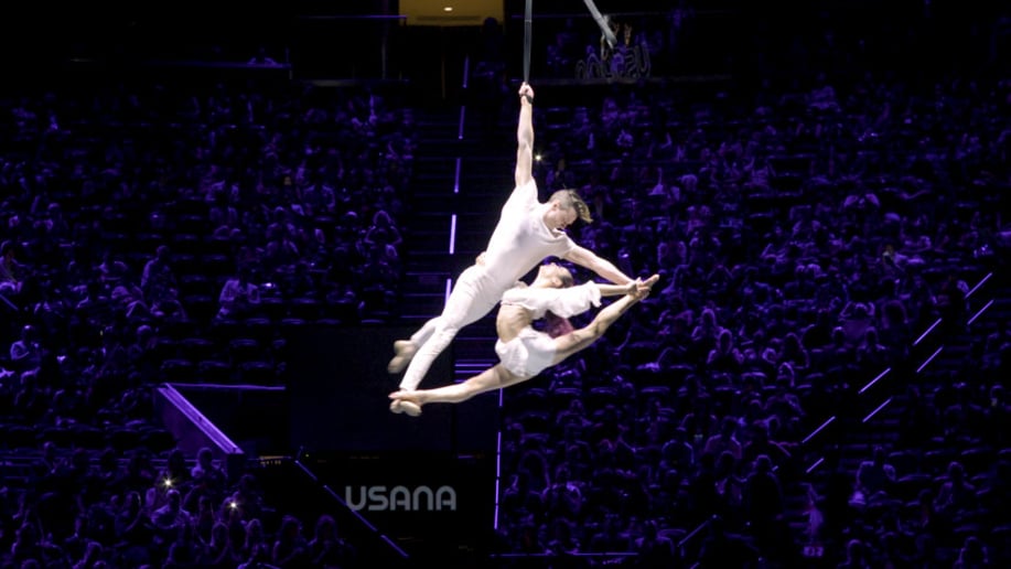 Gallery photo 1 of LUX Entertainment Straps Aerialists