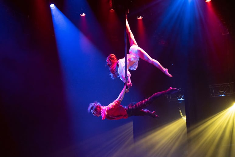 Gallery photo 3 of LUX Entertainment Straps Aerialists