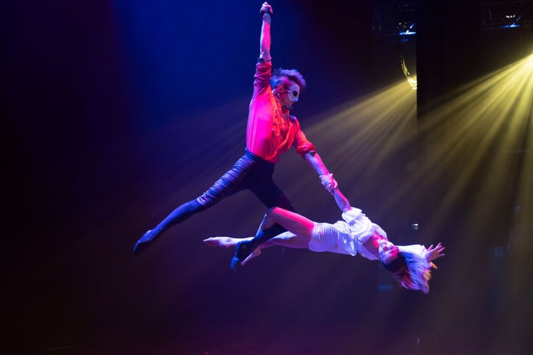 Gallery photo 4 of LUX Entertainment Straps Aerialists