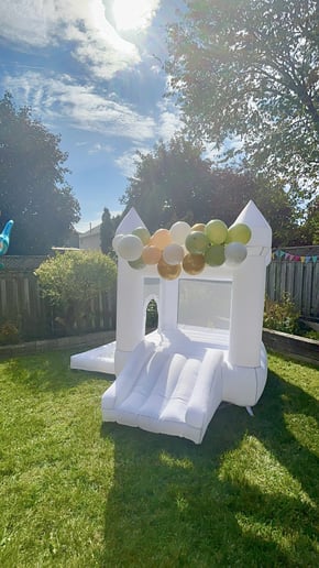 Gallery photo 3 of Luxe Bounce House Rentals