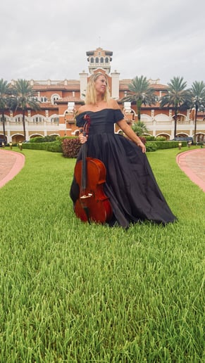 Gallery photo 1 of Perle Noire String Musicians