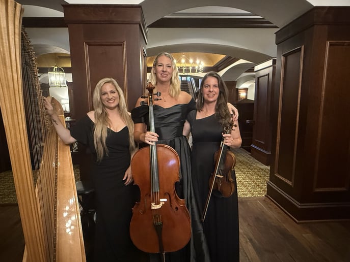 Gallery photo 2 of Perle Noire String Musicians