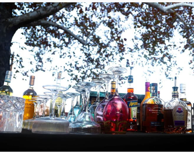 Gallery photo 12 of Luxury Event Companion & Bartender