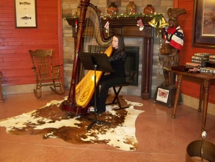Gallery photo 3 of Lydia Haywood, Harpist
