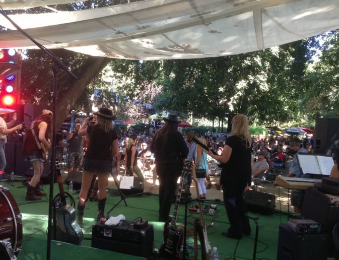 Gallery photo 2 of Lynette Skynyrd