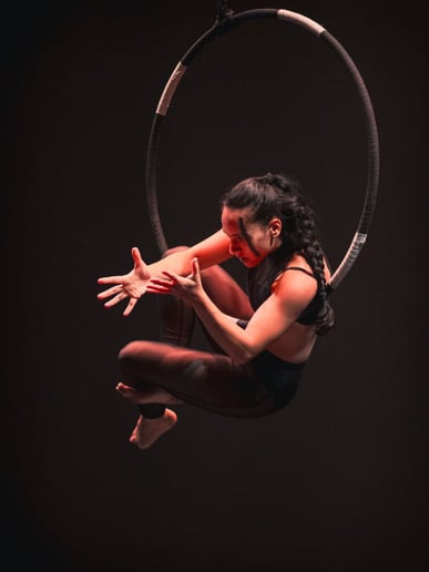 Gallery photo 9 of Lyra Aerialist, Jasmin C