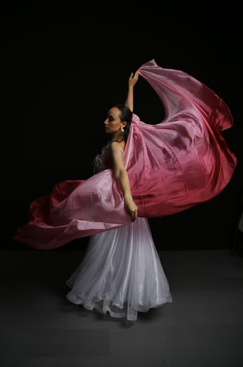 Gallery photo 3 of Lyra Belly Dance