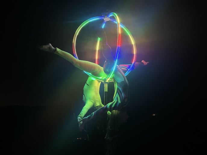 Gallery photo 1 of CaroLyra Aerial Arts