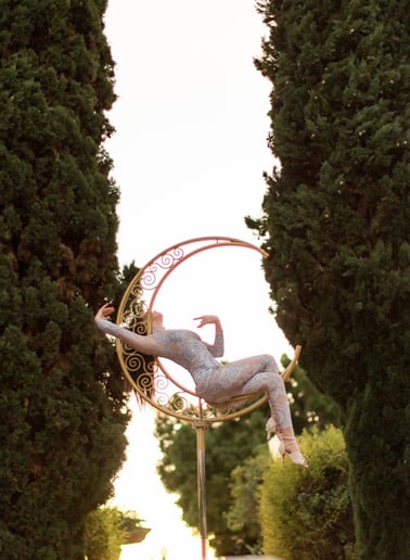 Gallery photo 8 of CaroLyra Aerial Arts