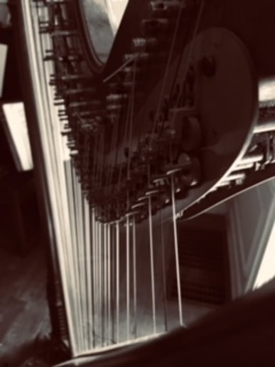 Gallery photo 5 of Lyrical Harp