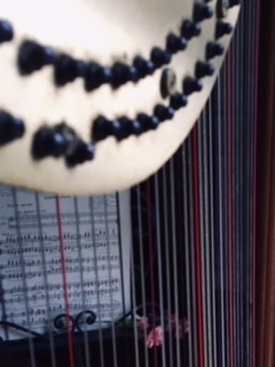 Gallery photo 6 of Lyrical Harp