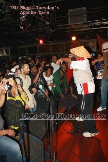 Gallery photo 3 of Lyrical Preacher