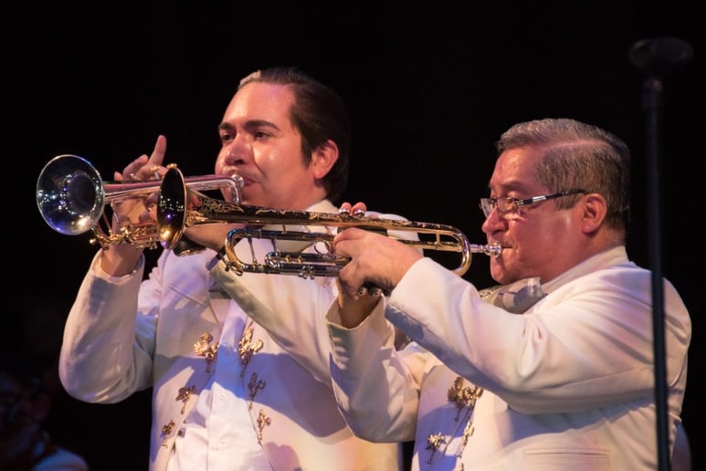 Gallery photo 35 of The New York City Mariachi Inc. - Mariachi Tapatio de Alvaro Paulino