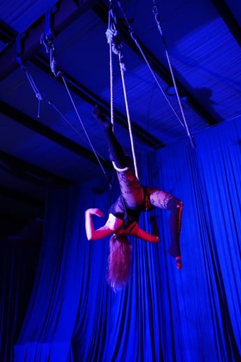 Gallery photo 10 of Macon Magic Circus