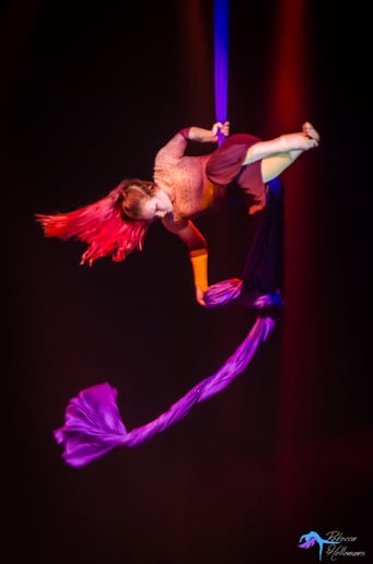 Gallery photo 5 of Madds Aerial Artist