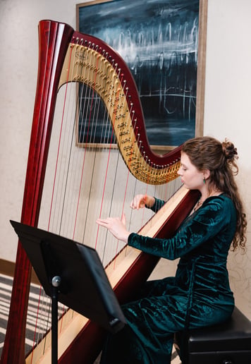 Gallery photo 3 of Madeleine Restaino Harpist