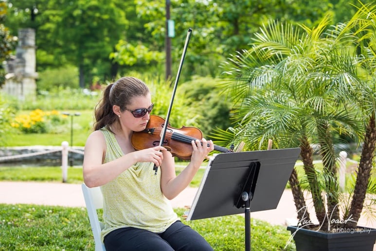 Gallery photo 1 of AMK, Violin