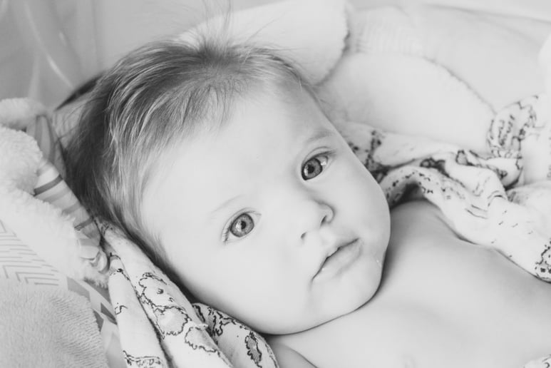 Gallery photo 2 of Mae Bee Memories