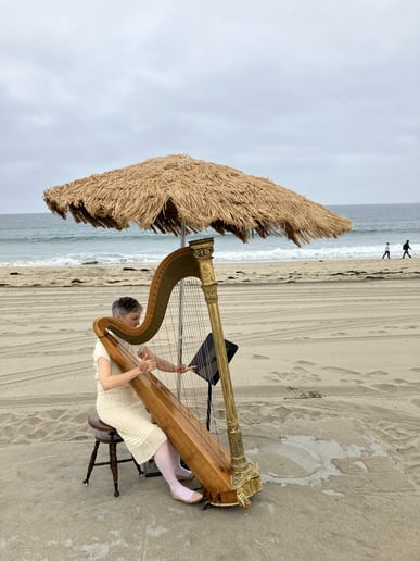 Gallery photo 4 of Maggie's Harp