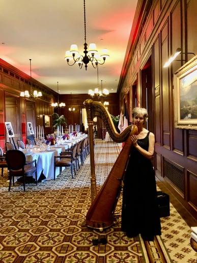 Gallery photo 5 of Maggie's Harp