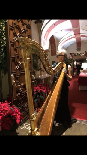 Gallery photo 7 of Maggie's Harp
