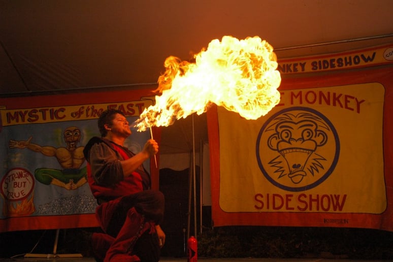 Gallery photo 3 of Magic and Fun