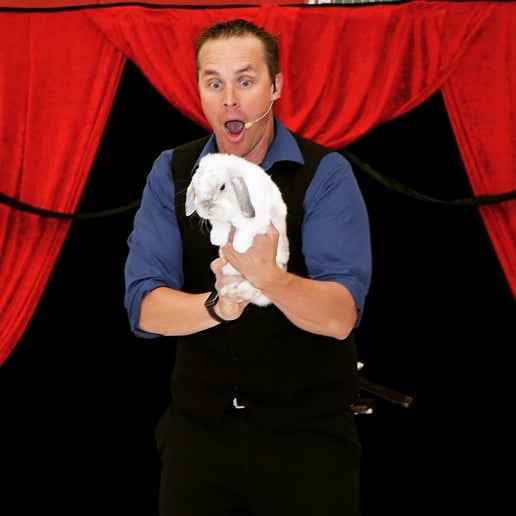Gallery photo 7 of Magic by Robbie