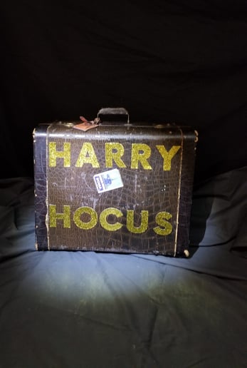 Gallery photo 10 of Magic by The Astounding Professor Harry Hocus