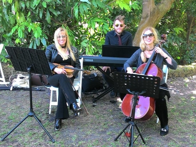 Gallery photo 5 of Musik For You