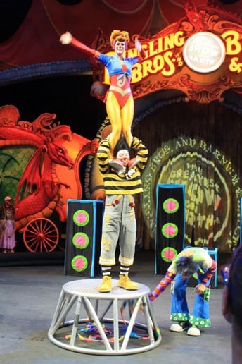 Gallery photo 6 of Magical Chef Oscar