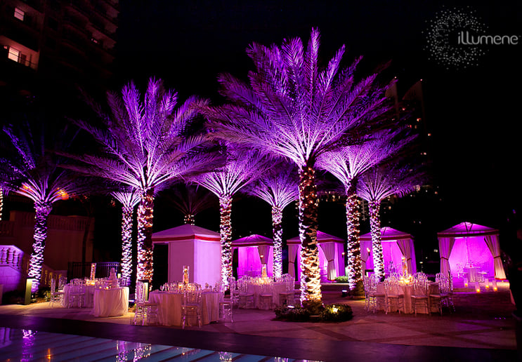 Gallery photo 10 of Magical Events and Weddings