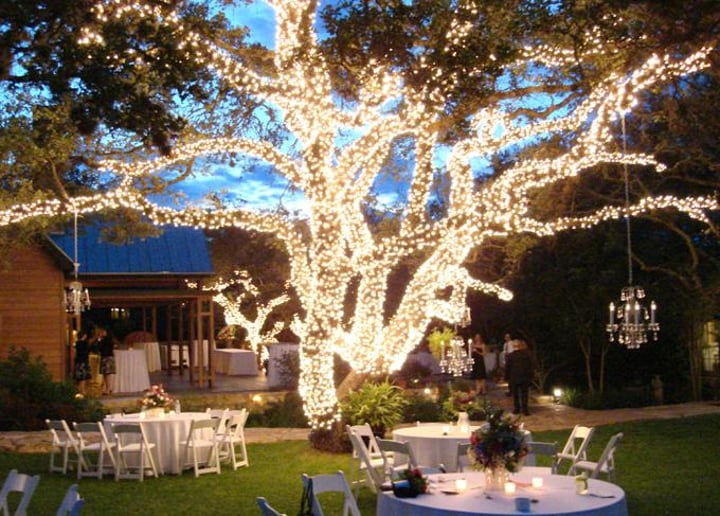 Gallery photo 1 of Magical Events and Weddings