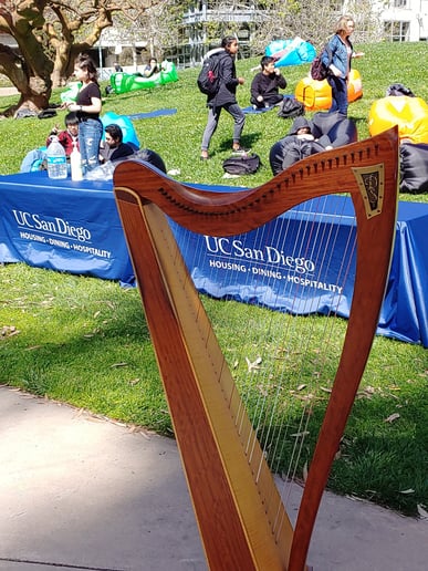 Gallery photo 5 of Magical Harps by Amy Lynn Kanner
