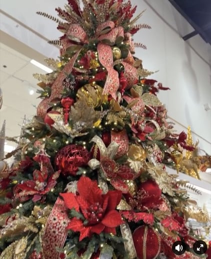 Gallery photo 1 of Magical Holiday Designs