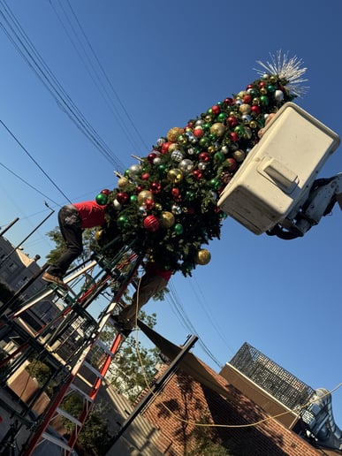 Gallery photo 15 of Magical Holiday Designs