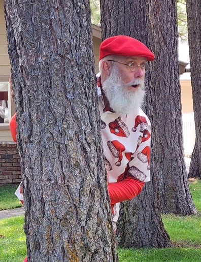 Gallery photo 9 of Magical Santa Memories