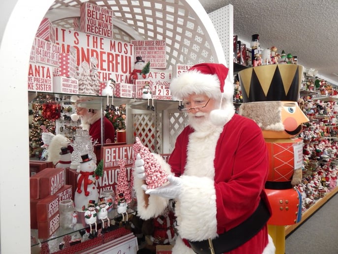 Gallery photo 8 of Magical Santa