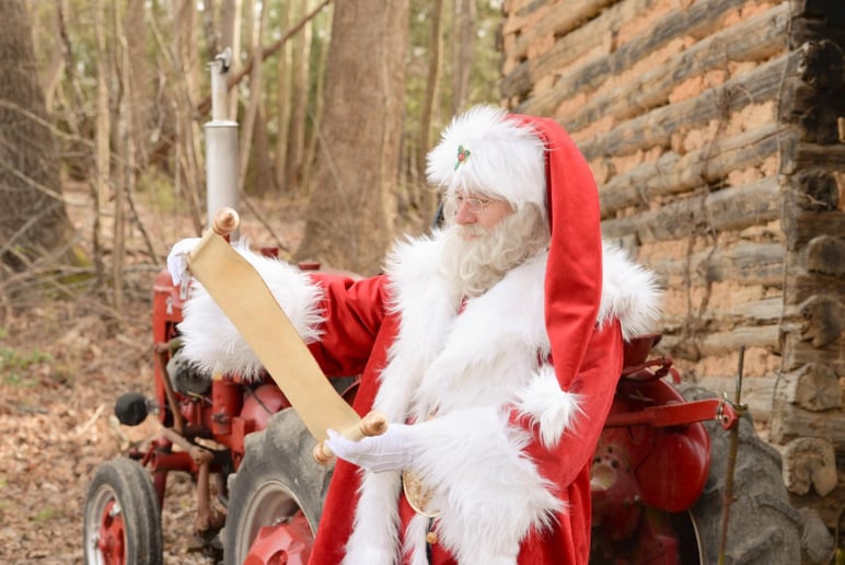 Gallery photo 4 of Magical Moments Santa