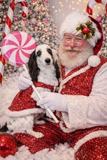 Gallery photo 4 of Magical Santas & Mrs. Claus