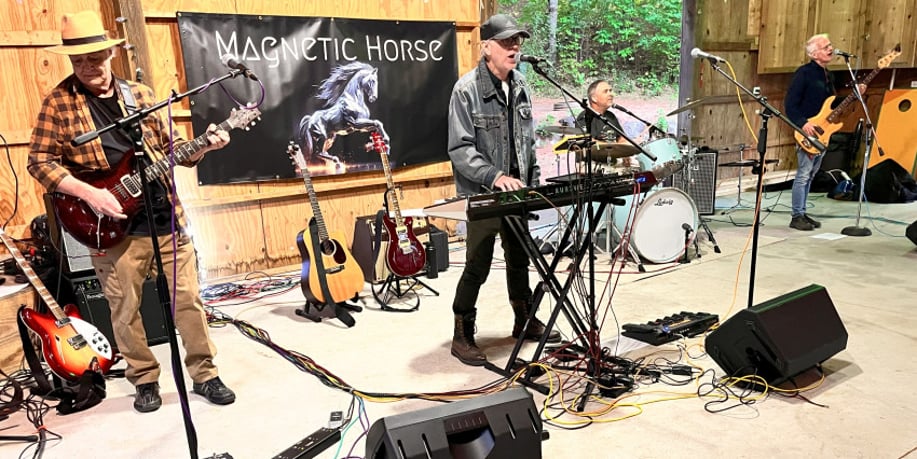 Gallery photo 4 of Magnetic Horse
