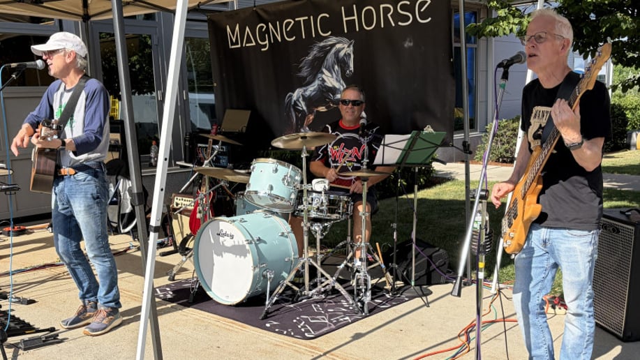 Gallery photo 18 of Magnetic Horse